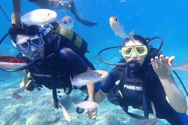Guided Scuba Dives in Alanya: Two Boat Dives with Lunch from Side photo 3