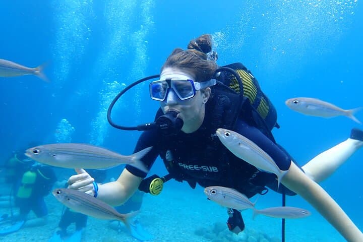 Guided Scuba Dives in Alanya — Two-Dive Day Trip with Lunch & Transfers