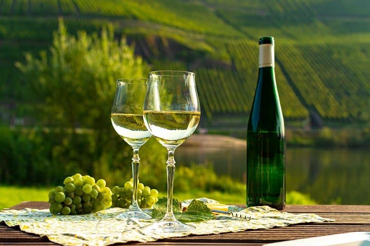Private Pfalz Wine Tour from Frankfurt: Day Trip to Germany's Red Wine Heart