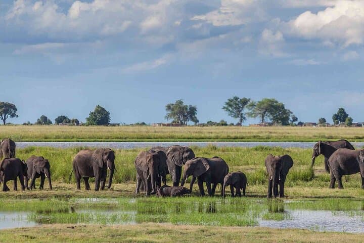 6-Day Kenya Safari: Masai Mara, Lake Nakuru & Amboseli Wildlife Circuit photo 3