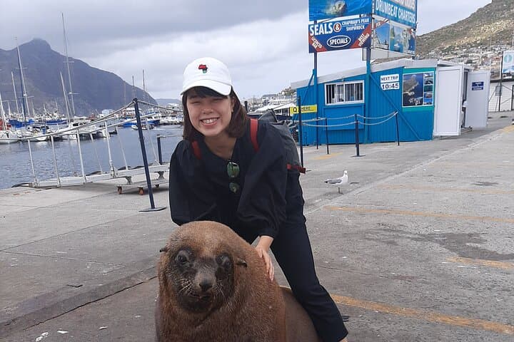 Full Day Cape Town Private Tour: Table Mountain, Cape Point & Boulders Beach photo 6
