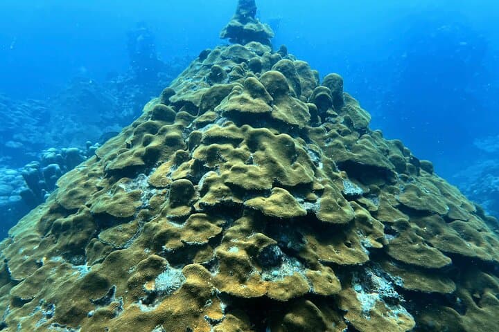 Cartagena Two-Tank Caribbean Diving with Lunch, Dance & Shore Pickup photo 4