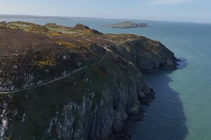 Howth Cliffs and Ireland's Eye Ferry: Puffins, Seals & Dublin Bay Views photo 4