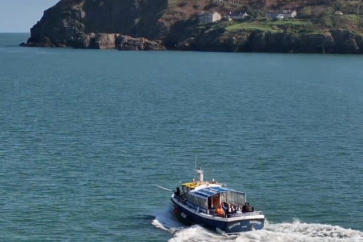 Howth Cliffs and Ireland's Eye Ferry: Puffins, Seals & Dublin Bay Views photo 5