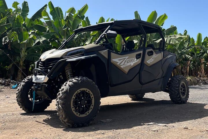 Monster Buggy Teide Tour — 4-Seater Off‑Road Adventure in Teide National Park