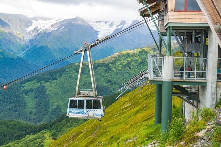 Experience Alaska’s Wilderness: Mount Alyeska Aerial Tram and Wildlife Center Tour from Anchorage