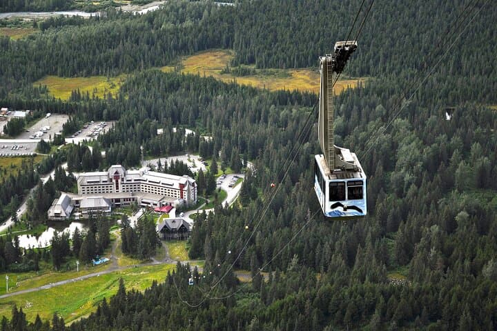 Experience Alaska’s Wilderness: Mount Alyeska Aerial Tram and Wildlife Center Tour from Anchorage photo 2