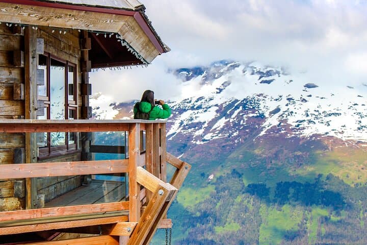 Experience Alaska’s Wilderness: Mount Alyeska Aerial Tram and Wildlife Center Tour from Anchorage photo 3