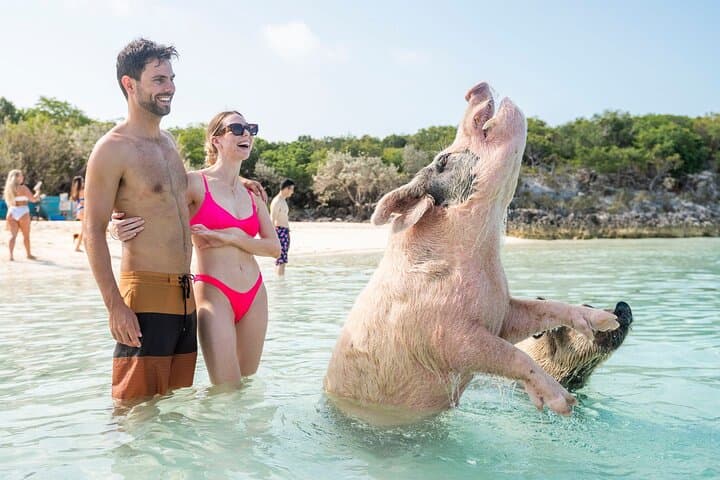 Exuma Elite Escape: Fly-In Swimming Pigs, Thunderball Grotto & Sandbar Snorkel