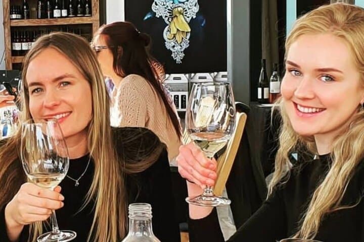 Waiheke Off-Grid Small-Group Wine Tour: Boutique Wineries & Back-Roads photo 5