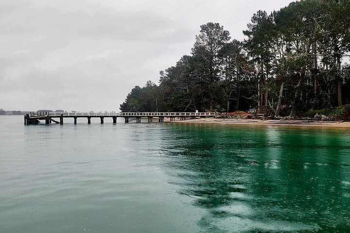 3-Hour Tauranga Scenic Cruise — Harbour Islands, Maori Legend & Port Views photo 4