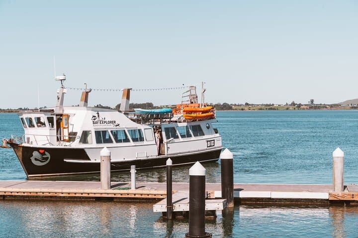 3-Hour Tauranga Scenic Cruise — Harbour Islands, Maori Legend & Port Views