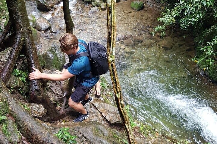 Half-Day Waterfall Hike from Medellín — Fog-Forest Falls Near Envigado photo 3