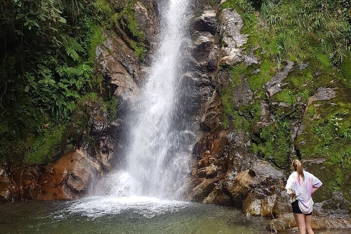 Half-Day Waterfall Hike from Medellín — Fog-Forest Falls Near Envigado photo 6