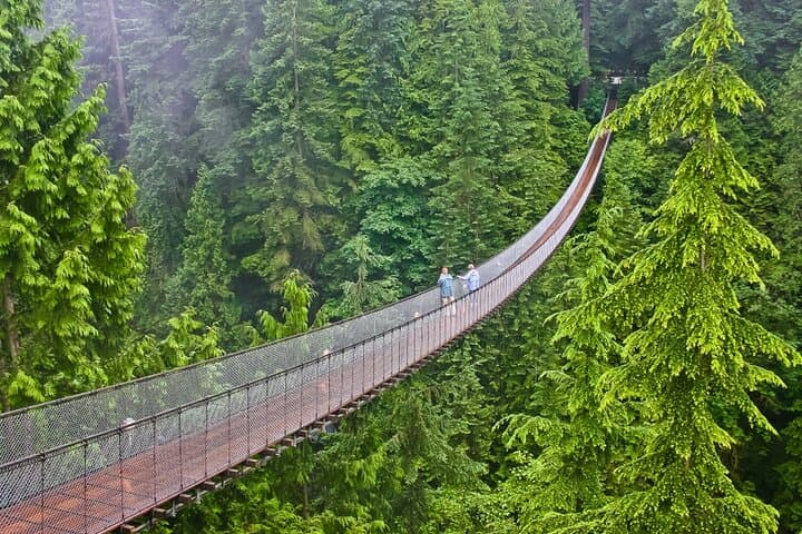 Vancouver Coastal Highlights: Prospect Point, Capilano Suspension Bridge & Horseshoe Bay Private Tour photo 5
