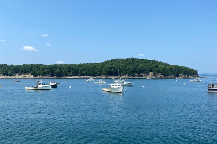 Bar Harbor Walking Tour: Historic Downtown Stroll & Seaside Sights photo 4