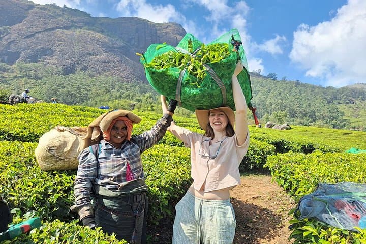 Munnar Private Hiking Tour from Cochin: 2-Day Tea-Plantation Trek & Overnight Stay photo 1