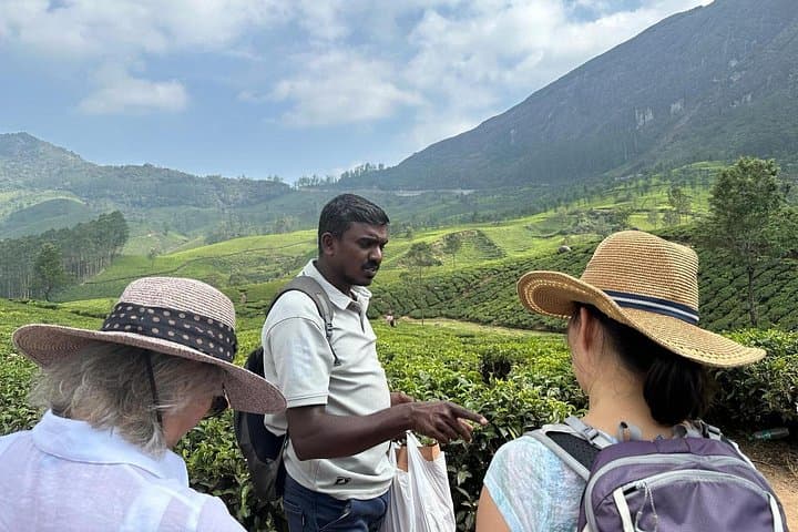 Munnar Private Hiking Tour from Cochin: 2-Day Tea-Plantation Trek & Overnight Stay photo 2