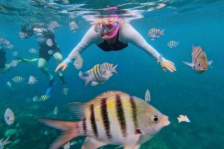 Roatán Cayuco Mangrove Cruise, Local Lunch & Snorkeling the Mesoamerican Reef photo 5