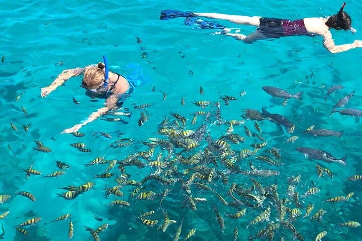 Roatán Cayuco Mangrove Cruise, Local Lunch & Snorkeling the Mesoamerican Reef photo 3