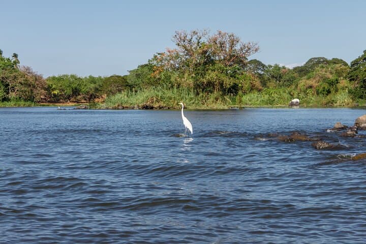 Private Granada Isletas and City Tour — Boat to Las Isletas & Colonial Granada photo 5