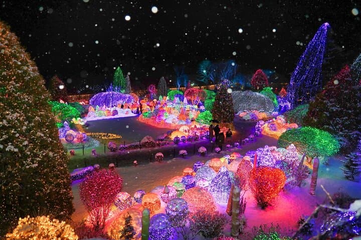 Full-Day Gapyeong Loop: Eobi Ice Valley, Alpaca World, Nami Island & The Garden of Morning Calm photo 3