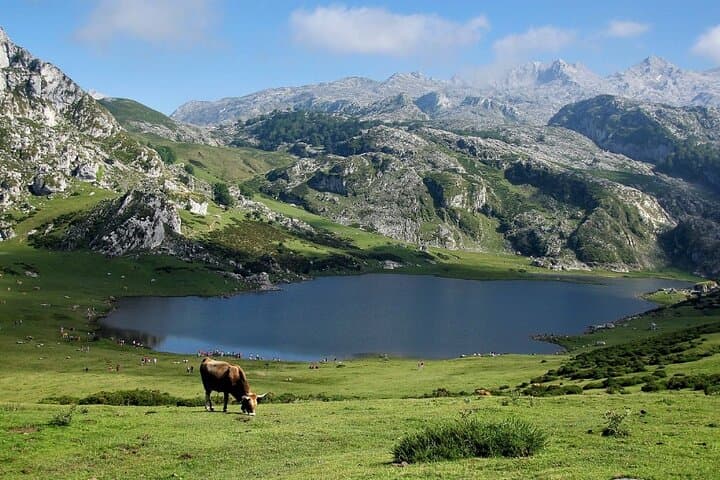 Covadonga Lakes & Sanctuary Day Trip from Santander — Enol, Ercina & Cangas de Onís Guide photo 6