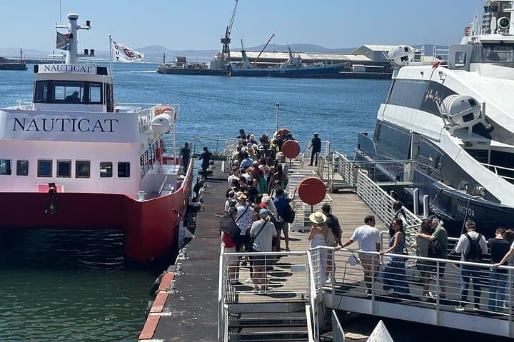 Robben Island and Table Mountain: Full-Day Guided Tour from Cape Town photo 5