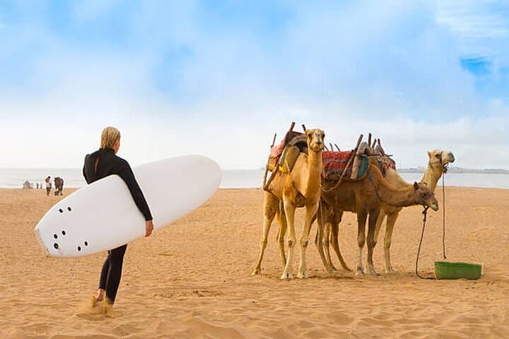 Private Marrakech to Casablanca Transfer — Door-to-Door Airport or City Service photo 4