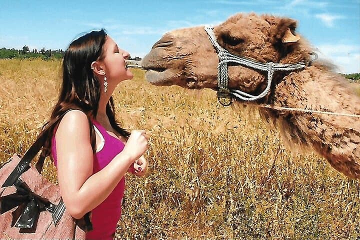 Bedouin Village Experience in Mahdia: Camel Rides, Local Food & Crafts
