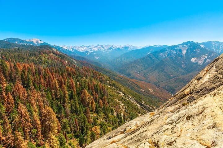 Kings Canyon Self-Guided Audio Tour — Drive, Hike and Giant Sequoias photo 6