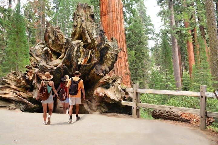 Kings Canyon Self-Guided Audio Tour — Drive, Hike and Giant Sequoias photo 3