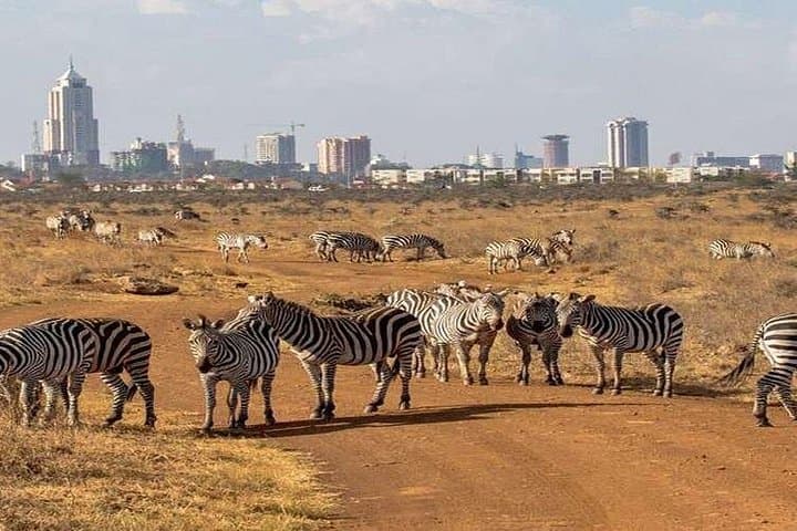 Explore Nairobi National Park, Giraffe Centre & Kobe Beads Factory: A Unique Urban Safari Experience photo 3