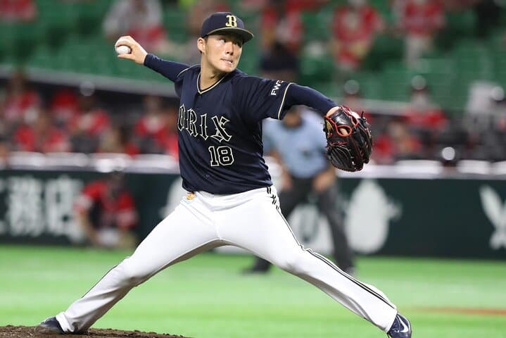 Yomiuri Giants Game Experience at Tokyo Dome — Fan Guide & Practical Tips photo 4