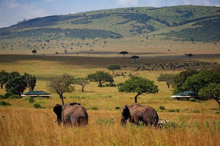 3-Day Maasai Mara Safari: Joining Game Drives, Mara River & Maasai Village Visit photo 1