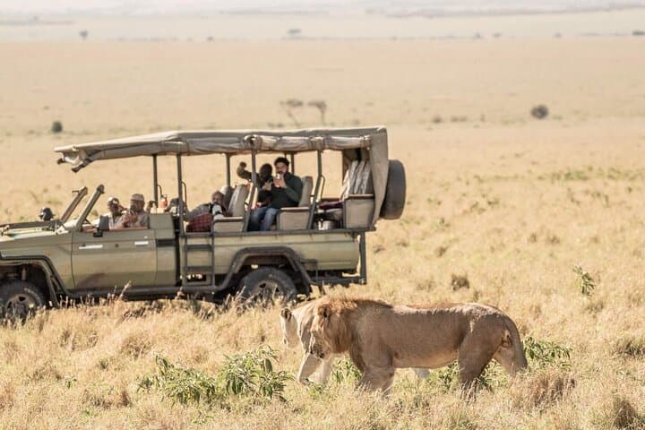 Private Overnight Maasai Mara Safari from Nairobi — 2-Day Wildlife Experience photo 1