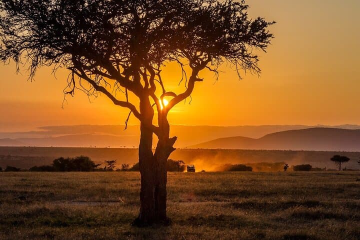 Private Overnight Maasai Mara Safari from Nairobi — 2-Day Wildlife Experience photo 4