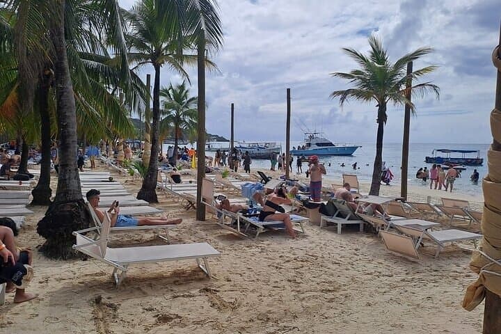 Two-Stop Snorkeling at West Bay Beach and Gumbalimba Eco Park — Roatán Reef Adventure photo 2