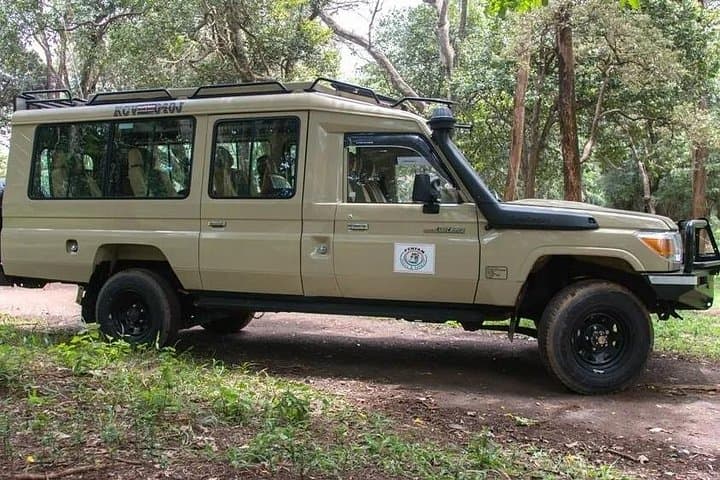 Jeep Safari to Amboseli National Park — Kilimanjaro Views & Elephant Herds