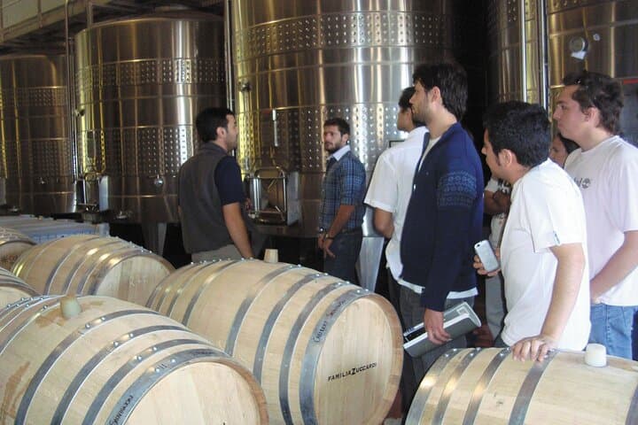 Full-Day Maipú Winery Tour and Lunch from Mendoza — Tasting, Tour, and Olive Farm photo 2