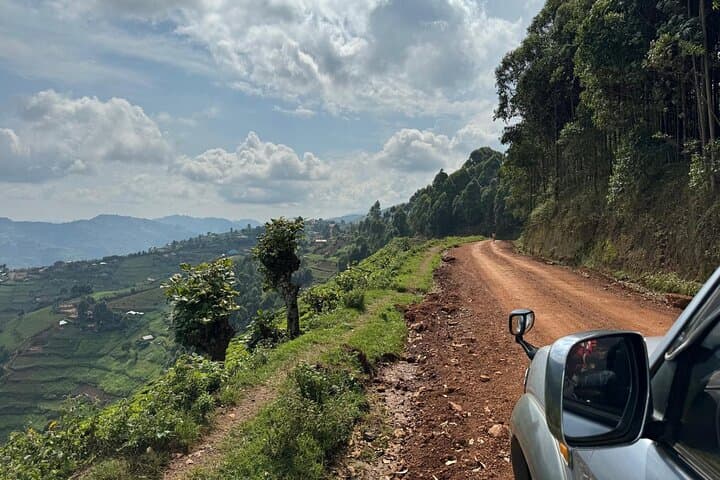 4-Day Uganda Gorilla Trekking: Bwindi Gorillas & Mgahinga Golden Monkeys photo 4