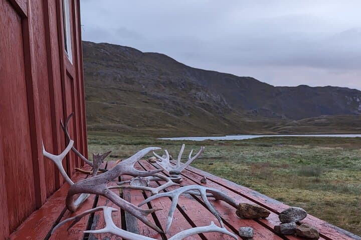 Backpack the Arctic Circle Trail — Greenland's Remote Tundra Trek photo 4