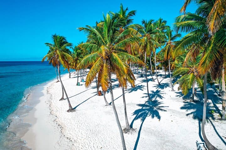 Eco Saona Island Excursion from Punta Cana — Remote Beaches, Starfish & Snorkeling photo 2