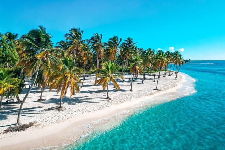 Eco Saona Island Excursion from Punta Cana — Remote Beaches, Starfish & Snorkeling
