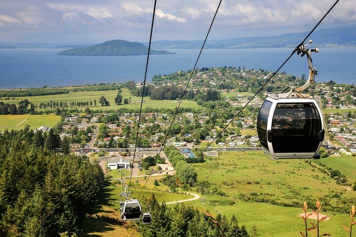 Private Ziplining Forest Adventure in Rotorua Redwood Forest photo 2