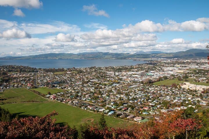 Private Ziplining Forest Adventure in Rotorua Redwood Forest photo 5