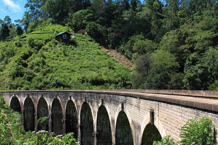 Ella Day Trek: Little Adam's Peak and Nine Arches Bridge photo 6