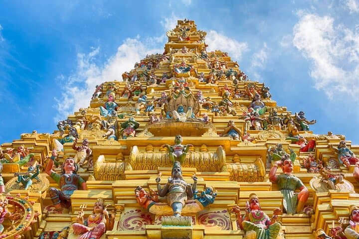 Sigiriya to Minneriya: Full-Day Heritage & Elephant-Viewing Trail