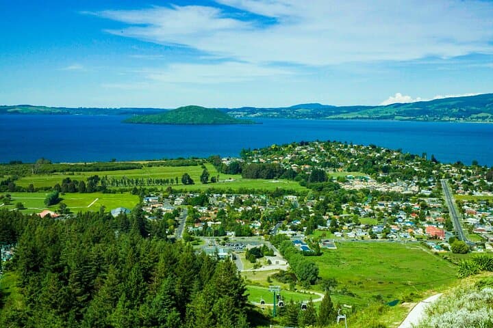 Private Rotorua Day Tour: Te Puia, Redwoods & Lake Views in One Day