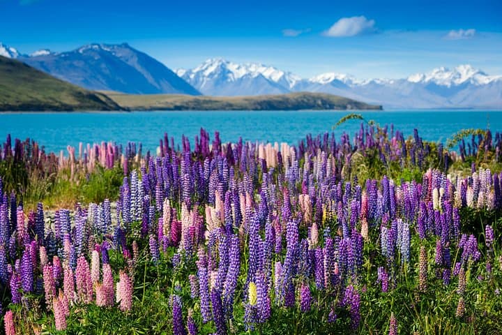 Private Tekapo Day Trip from Christchurch: Lake Pukaki, Mount Cook & Hooker Valley photo 1